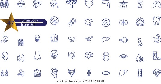 Human Body Parts Vector Icons Set. Anatomy