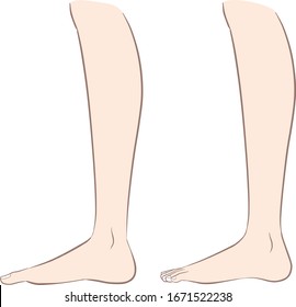 Human body parts. Vector illustrations of human feet.