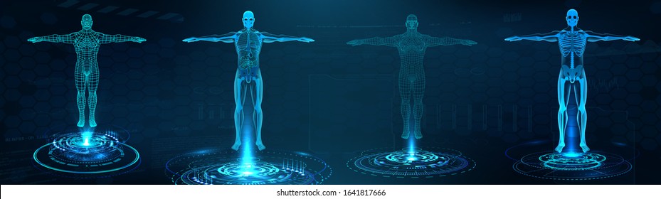 Human body polygonal wireframe and Transparent human body with anatomy of the structure of internal organs. Futuristic hologram scan, 3D x-ray Body in HUD style. Healthcare vector illustration