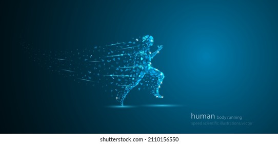 human body running at the speed of scientific illustrations, vector human 