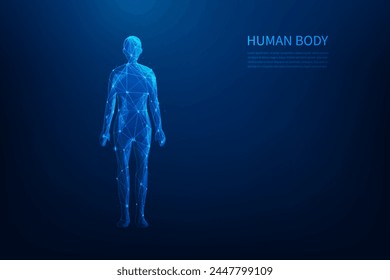 ciencia del cuerpo humano tecnología de estructura de alambre de bajo poli sobre fondo azul. línea de anatomía y forma de punto. concepto de ciencia médica. Ilustración vectorial diseño fantástico.