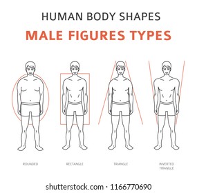 Masculine body shape