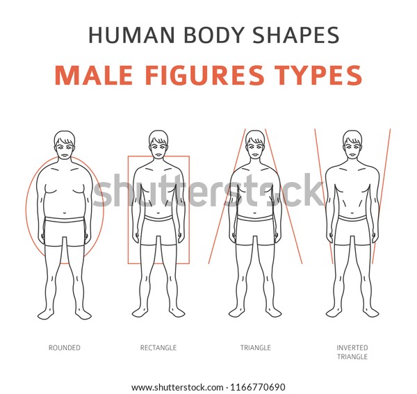 body shapes real people skinny