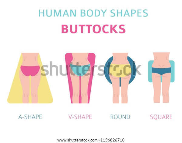 Human Body Shapes Woman Buttocks Types Stock Vector Royalty Free