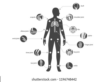human body silhouette anatomy with bone and joint circle flat icon design set