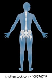 human body silhouette and backbone, chiropractic image, vector illustration