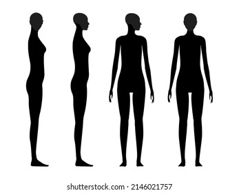 Human body silhouette of a female with a highlighted skull and chin area