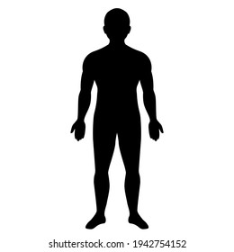 Human body silhouette, front view vector illustration on white background