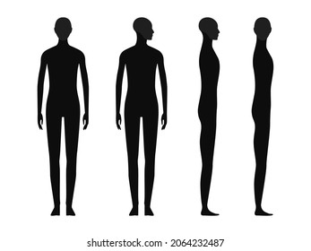 Human body silhouette of a gender neutral person with a highlighted skull and chin area
