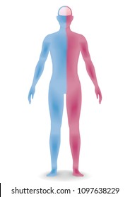human body silhouette, vector illustration