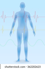 human body silhouette and vital sign waveforms, vector illustration