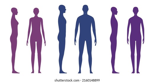 Human Body Silhouettes Male Female Gender Stock Vector Royalty Free 2160148899 Shutterstock 4540