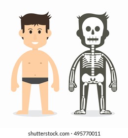 human body and skeletal system ( flat design )