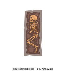 Human Body Skeleton Bones in Coffin, Archaeological Artifact Vector Illustration