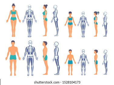 Human body and skeleton with a silhouette of a body. Male, female, adult and kid. Front view, side view in full length. Simplified anatomical image. Vector illustration on a white background.