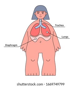 Human body structure for children - respiratory system with internal organs names. Girl lungs in modern flat infographics, kid friendly. Vector illustration for textbook and poster presentations