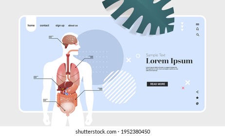 human body structure infographic poster with internal organs anatomy system portrait horizontal copy space