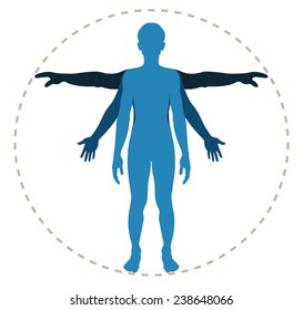 Human Body Structure In Vector