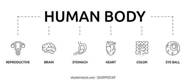 Human Body and Body system Organ Health Banner with icon and keywords
