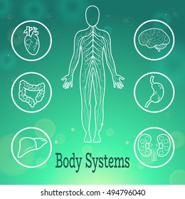 Human Body Systems Anatomical Conception Vector Illustration.Nervous System,Brain,Heart,Intestine,Kidneys,Stomach,Liver,Anatomical Body Silhouette on green background.Anatomical Body System Tutorial .