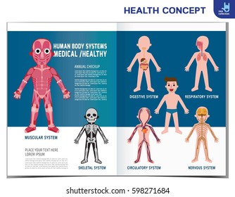 Human body systems. anatomy organ.
muscular. skeletal. circulatory. nervous. digestive.
medical health concept. Vector flat design illustration
template brochure flyer poster leaflet cover banner