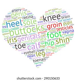 The human body tag word cloud background.