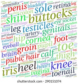 The human body tag word cloud background.