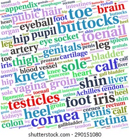 The human body tag word cloud background.