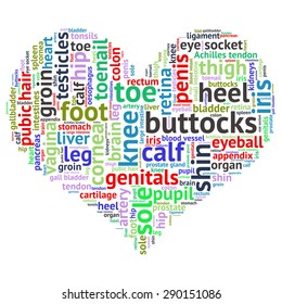 The human body tag word cloud background.