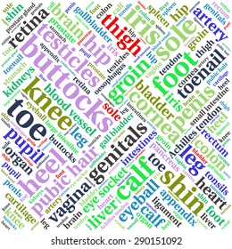 The human body tag word cloud background.