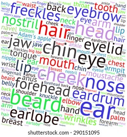 The human body tag word cloud background.
