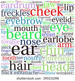 The human body tag word cloud background.
