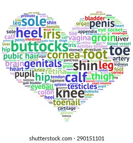 The human body tag word cloud background.