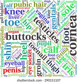 The human body tag word cloud background.