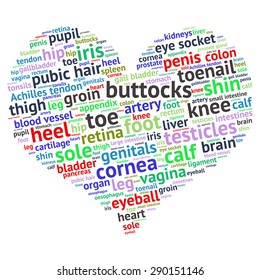 The human body tag word cloud background.