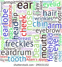 The human body tag word cloud background.