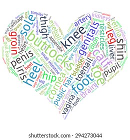 The human body tag word cloud background.