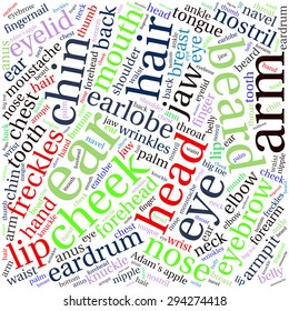 The human body tag word cloud background.