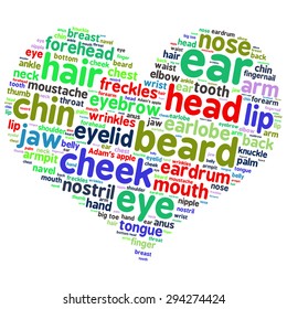 The human body tag word cloud background.