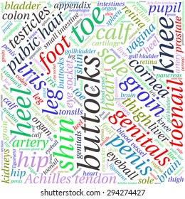 The human body tag word cloud background.