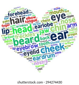 The human body tag word cloud background.
