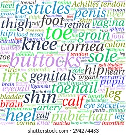The human body tag word cloud background.