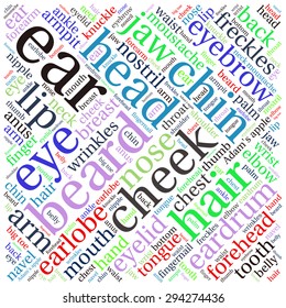 The human body tag word cloud background.