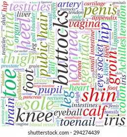 The human body tag word cloud background.