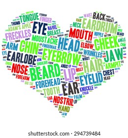 The human body tag word cloud background.