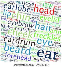 The human body tag word cloud background.