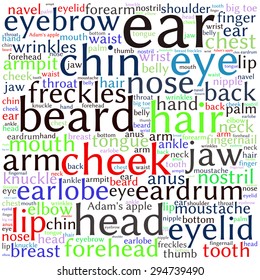 The human body tag word cloud background.