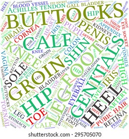 The human body tag word cloud background.