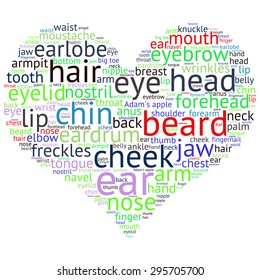 The human body tag word cloud background.