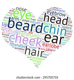 The human body tag word cloud background.